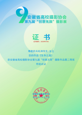 BEAT365师生在全省高校第九届“创意无限”摄影展中荣获佳绩